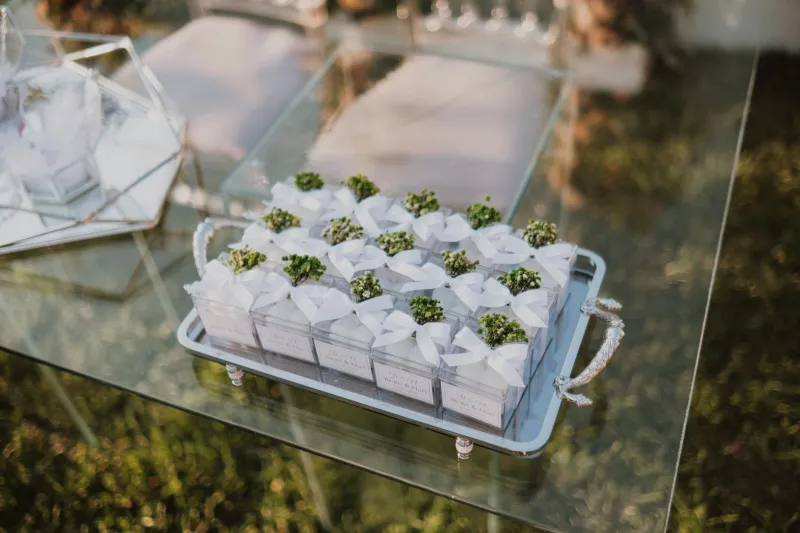 Weed as a Gift: The New Social Rules Nobody Officially Wrote Down (But Everyone's Following)