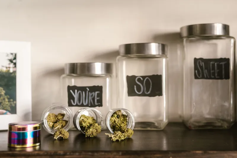 Curate Like a Collector: Building a Home Cannabis Stash Worth Bragging About