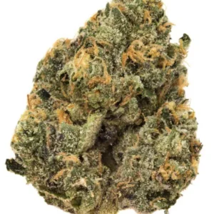 Sherblato Strain