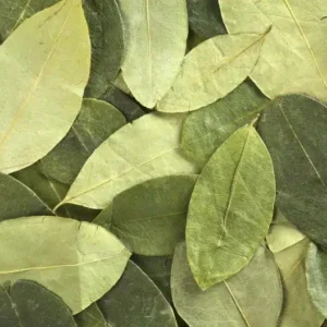 Where to buy coca leaves in Australia Online