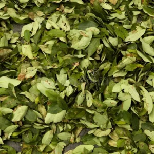 buy coca leaves in UK Online