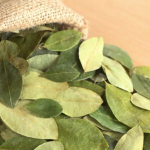 buy coca leaves in Canada